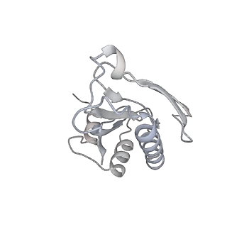 19055_8rcm_a2_v1-0
Escherichia coli paused disome complex (Non-rotated disome interface class 2)