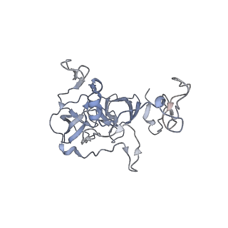 19055_8rcm_b2_v1-0
Escherichia coli paused disome complex (Non-rotated disome interface class 2)