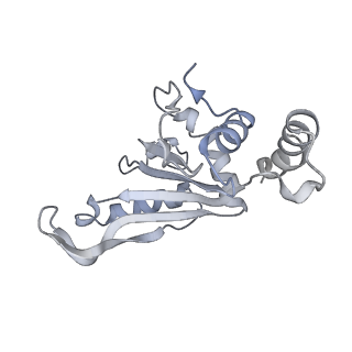 19055_8rcm_e2_v1-0
Escherichia coli paused disome complex (Non-rotated disome interface class 2)