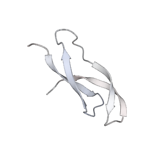 19055_8rcm_g2_v1-0
Escherichia coli paused disome complex (Non-rotated disome interface class 2)