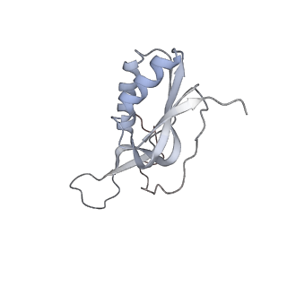 19055_8rcm_h2_v1-0
Escherichia coli paused disome complex (Non-rotated disome interface class 2)