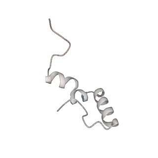 19055_8rcm_l2_v1-0
Escherichia coli paused disome complex (Non-rotated disome interface class 2)