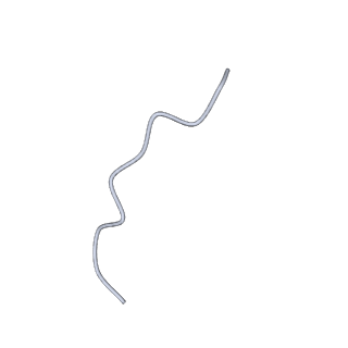 19055_8rcm_p_v1-0
Escherichia coli paused disome complex (Non-rotated disome interface class 2)