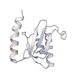 19055_8rcm_r2_v1-0
Escherichia coli paused disome complex (Non-rotated disome interface class 2)