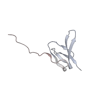 19055_8rcm_z2_v1-0
Escherichia coli paused disome complex (Non-rotated disome interface class 2)