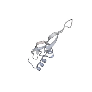 19058_8rcs_12_v1-0
Escherichia coli paused disome complex (Rotated disome interface class 1)