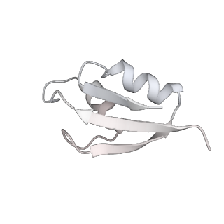 19058_8rcs_32_v1-0
Escherichia coli paused disome complex (Rotated disome interface class 1)