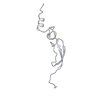 19058_8rcs_4_v1-0
Escherichia coli paused disome complex (Rotated disome interface class 1)