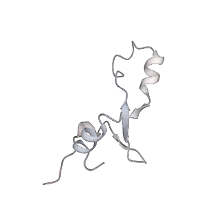 19058_8rcs_62_v1-0
Escherichia coli paused disome complex (Rotated disome interface class 1)