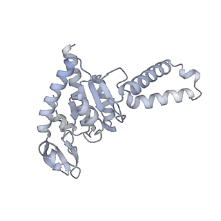 19058_8rcs_B2_v1-0
Escherichia coli paused disome complex (Rotated disome interface class 1)