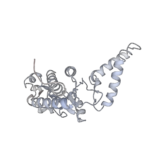 19058_8rcs_B_v1-0
Escherichia coli paused disome complex (Rotated disome interface class 1)