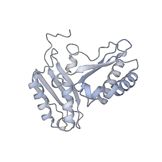 19058_8rcs_C1_v1-0
Escherichia coli paused disome complex (Rotated disome interface class 1)