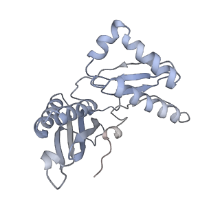 19058_8rcs_C2_v1-0
Escherichia coli paused disome complex (Rotated disome interface class 1)