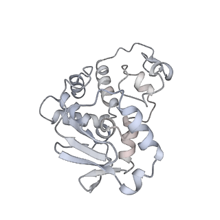 19058_8rcs_D1_v1-0
Escherichia coli paused disome complex (Rotated disome interface class 1)