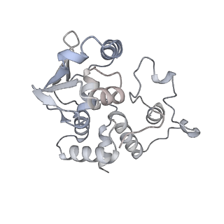 19058_8rcs_D2_v1-0
Escherichia coli paused disome complex (Rotated disome interface class 1)