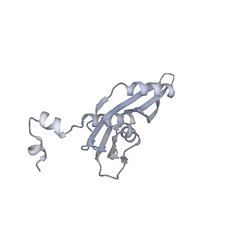 19058_8rcs_E1_v1-0
Escherichia coli paused disome complex (Rotated disome interface class 1)