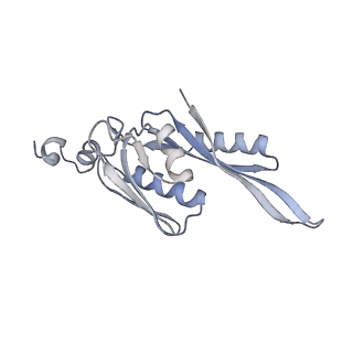 19058_8rcs_E2_v1-0
Escherichia coli paused disome complex (Rotated disome interface class 1)