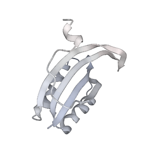 19058_8rcs_F1_v1-0
Escherichia coli paused disome complex (Rotated disome interface class 1)