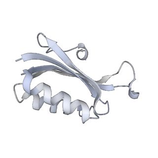 19058_8rcs_F2_v1-0
Escherichia coli paused disome complex (Rotated disome interface class 1)