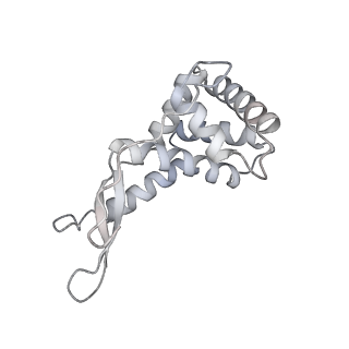 19058_8rcs_G1_v1-0
Escherichia coli paused disome complex (Rotated disome interface class 1)