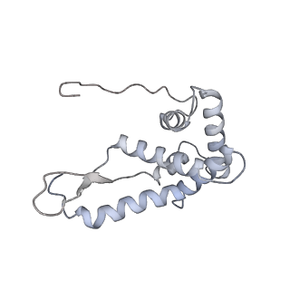 19058_8rcs_G2_v1-0
Escherichia coli paused disome complex (Rotated disome interface class 1)