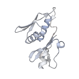 19058_8rcs_H1_v1-0
Escherichia coli paused disome complex (Rotated disome interface class 1)