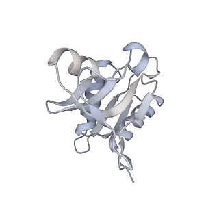 19058_8rcs_H2_v1-0
Escherichia coli paused disome complex (Rotated disome interface class 1)