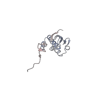 19058_8rcs_I2_v1-0
Escherichia coli paused disome complex (Rotated disome interface class 1)