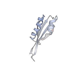 19058_8rcs_J1_v1-0
Escherichia coli paused disome complex (Rotated disome interface class 1)