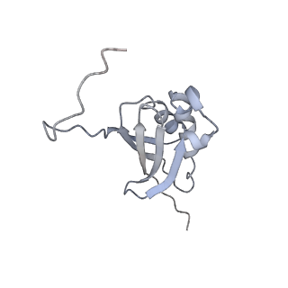 19058_8rcs_K2_v1-0
Escherichia coli paused disome complex (Rotated disome interface class 1)