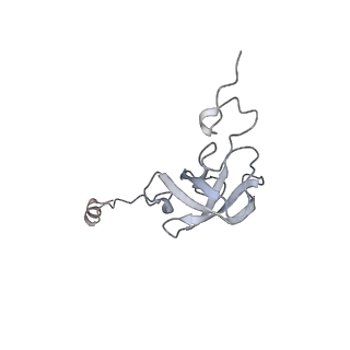 19058_8rcs_L2_v1-0
Escherichia coli paused disome complex (Rotated disome interface class 1)