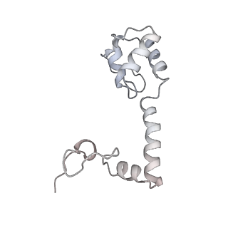 19058_8rcs_M1_v1-0
Escherichia coli paused disome complex (Rotated disome interface class 1)