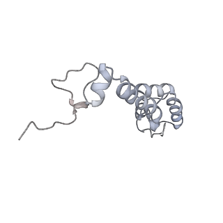 19058_8rcs_M2_v1-0
Escherichia coli paused disome complex (Rotated disome interface class 1)