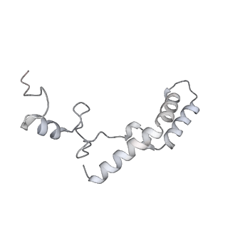 19058_8rcs_N1_v1-0
Escherichia coli paused disome complex (Rotated disome interface class 1)