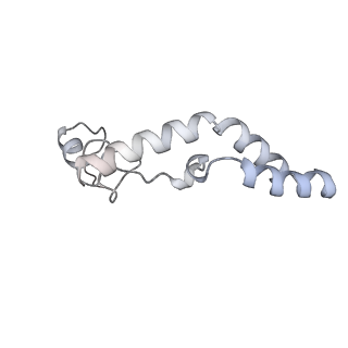 19058_8rcs_N2_v1-0
Escherichia coli paused disome complex (Rotated disome interface class 1)