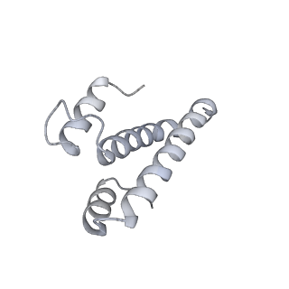 19058_8rcs_O1_v1-0
Escherichia coli paused disome complex (Rotated disome interface class 1)