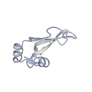 19058_8rcs_P1_v1-0
Escherichia coli paused disome complex (Rotated disome interface class 1)