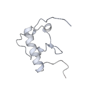 19058_8rcs_R2_v1-0
Escherichia coli paused disome complex (Rotated disome interface class 1)