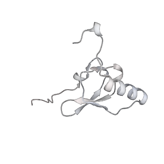 19058_8rcs_S1_v1-0
Escherichia coli paused disome complex (Rotated disome interface class 1)