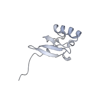 19058_8rcs_S2_v1-0
Escherichia coli paused disome complex (Rotated disome interface class 1)