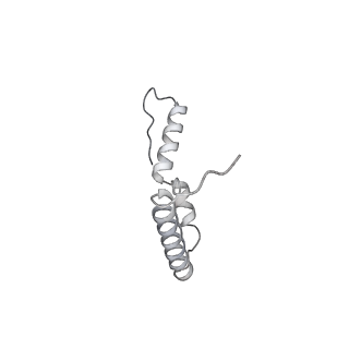 19058_8rcs_U1_v1-0
Escherichia coli paused disome complex (Rotated disome interface class 1)