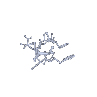 19058_8rcs_Z1_v1-0
Escherichia coli paused disome complex (Rotated disome interface class 1)