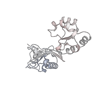 19058_8rcs_a2_v1-0
Escherichia coli paused disome complex (Rotated disome interface class 1)