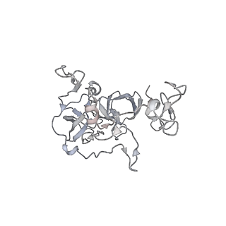 19058_8rcs_b2_v1-0
Escherichia coli paused disome complex (Rotated disome interface class 1)