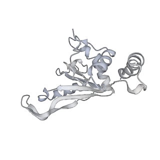 19058_8rcs_e2_v1-0
Escherichia coli paused disome complex (Rotated disome interface class 1)