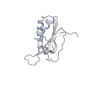 19058_8rcs_h2_v1-0
Escherichia coli paused disome complex (Rotated disome interface class 1)