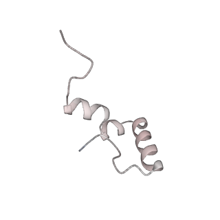 19058_8rcs_l2_v1-0
Escherichia coli paused disome complex (Rotated disome interface class 1)