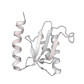 19058_8rcs_r2_v1-0
Escherichia coli paused disome complex (Rotated disome interface class 1)