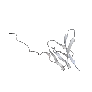 19058_8rcs_z2_v1-0
Escherichia coli paused disome complex (Rotated disome interface class 1)