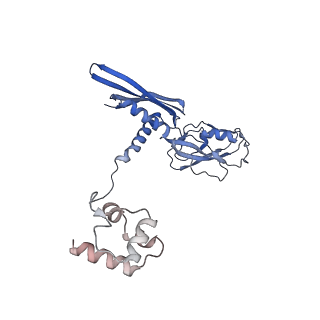 19023_8rdj_B_v1-0
Plastid-encoded RNA polymerase transcription elongation complex (Integrated model)